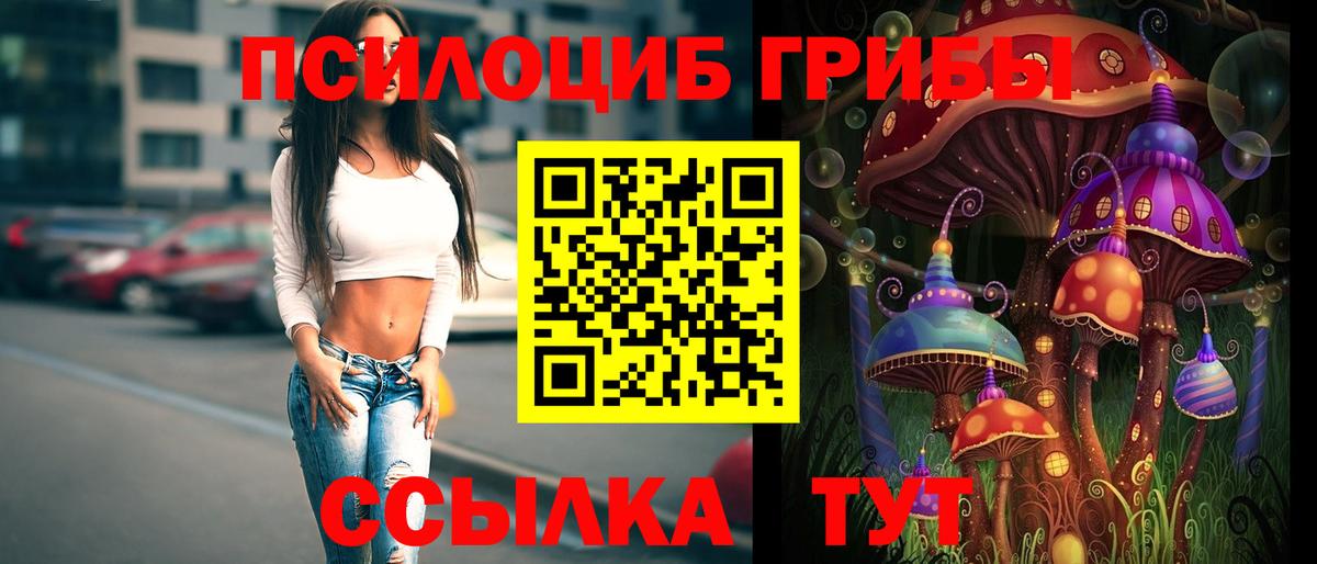 Галлюциногенные грибы мицелий  Вход с VPN  Апатиты 
