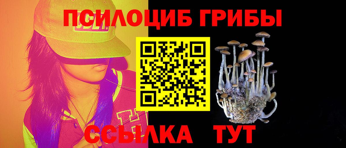 Галлюциногенные грибы Psilocybine cubensis Апатиты