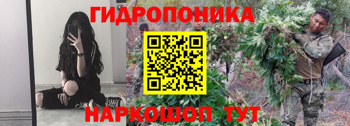 Конопля план  Каннабис ГИДРОПОН  Вход с VPN  Апатиты  Марихуана SATIVA & INDICA 